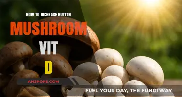 Boosting Vitamin D in Button Mushrooms: Simple and Effective Methods