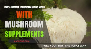 Boost Hemoglobin Levels During Chemo with Mushroom Supplements