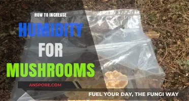 Boosting Humidity Levels: Essential Tips for Growing Healthy Mushrooms