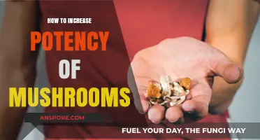 Enhance Mushroom Potency: Proven Techniques for Stronger, More Effective Results