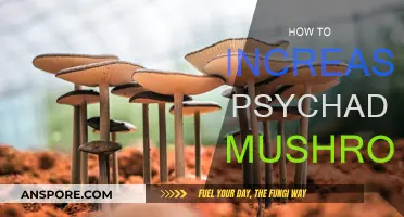 The Magic of Growing Psychedelic Mushrooms: A Comprehensive Guide