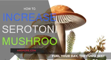 Boosting Serotonin with Mushrooms: A Natural Approach