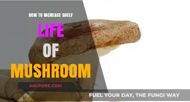 Maximizing Mushroom Freshness: Proven Tips to Extend Shelf Life