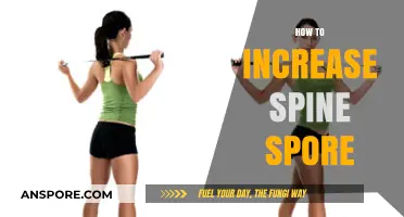 Boost Spine Health: Proven Tips to Increase Spine Strength Naturally