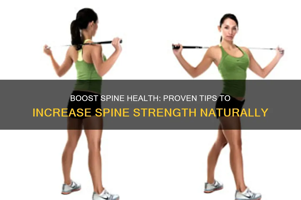 how to increase spine spore