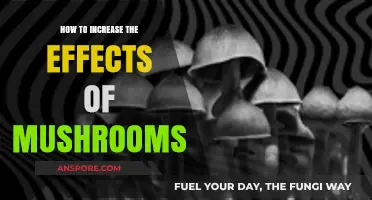 Enhance Your Mushroom Experience: Proven Tips to Amplify Their Effects
