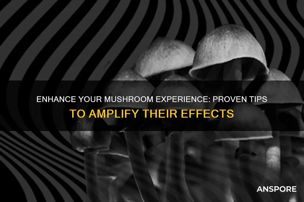 how to increase the effects of mushrooms