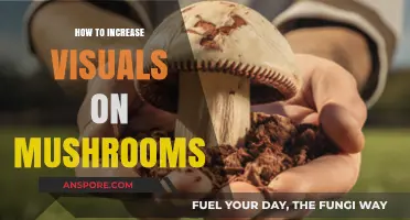 Enhance Mushroom Visuals: Techniques for Vibrant, Striking Psychedelic Experiences