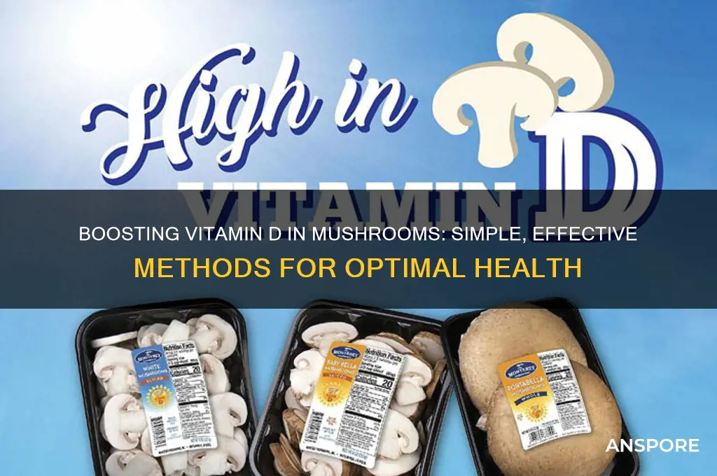 how to increase vit d in mushrooms