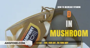 Boosting Vitamin D in Mushrooms: Simple, Effective Methods for Optimal Health