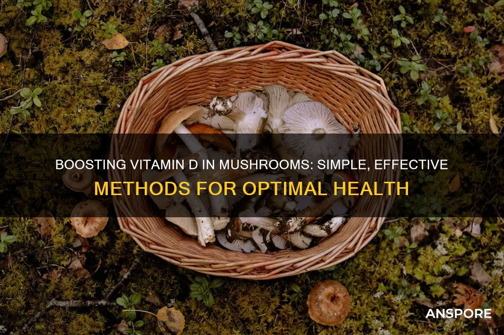 how to increase vitamin d in mushrooms