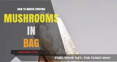 Mastering Mushroom Fruiting: Inducing Growth in Bags Step-by-Step
