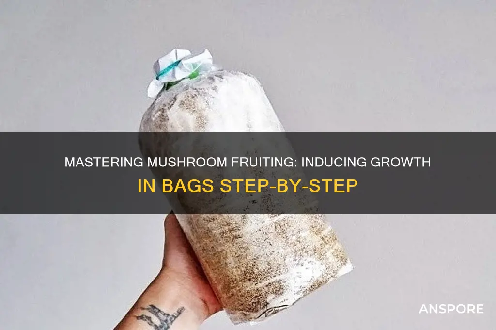 how to induce fruiting mushrooms in bag