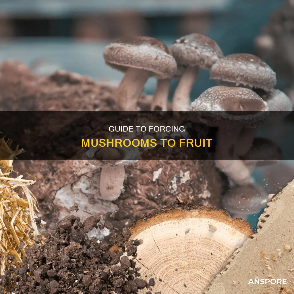 how to induce fruting mushrooms
