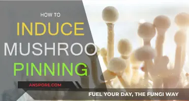 Mushroom Magic: Inducing Pinning for Abundant Growth