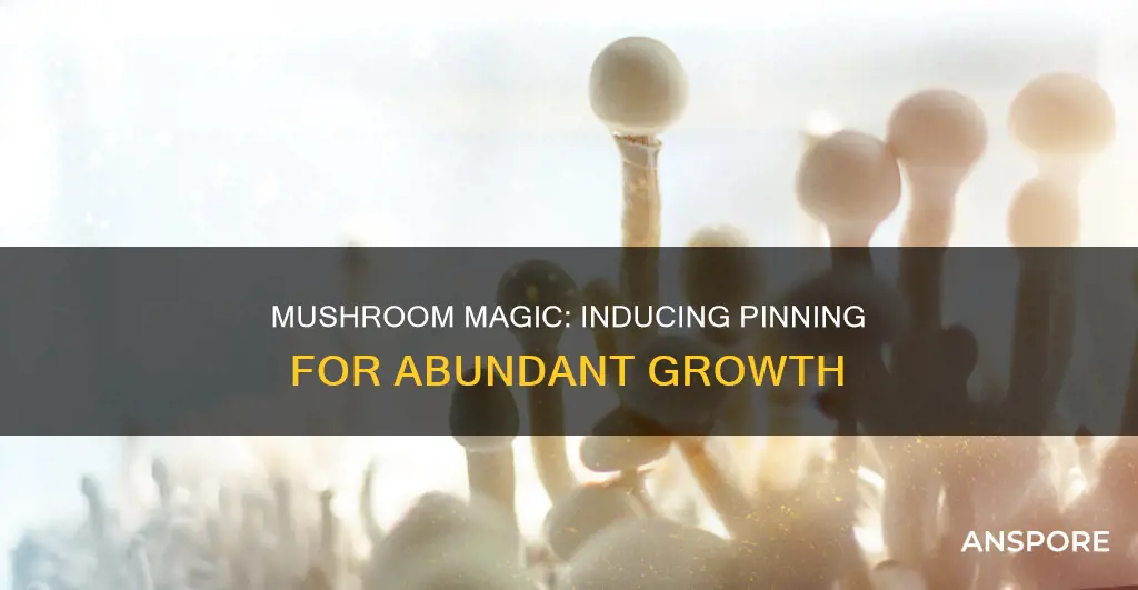 how to induce mushroom pinning