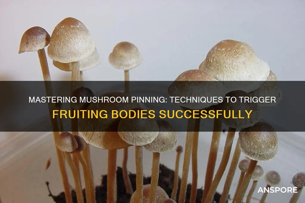 how to induce pinning for mushrooms