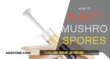 Injecting Mushroom Spores: A Step-by-Step Guide