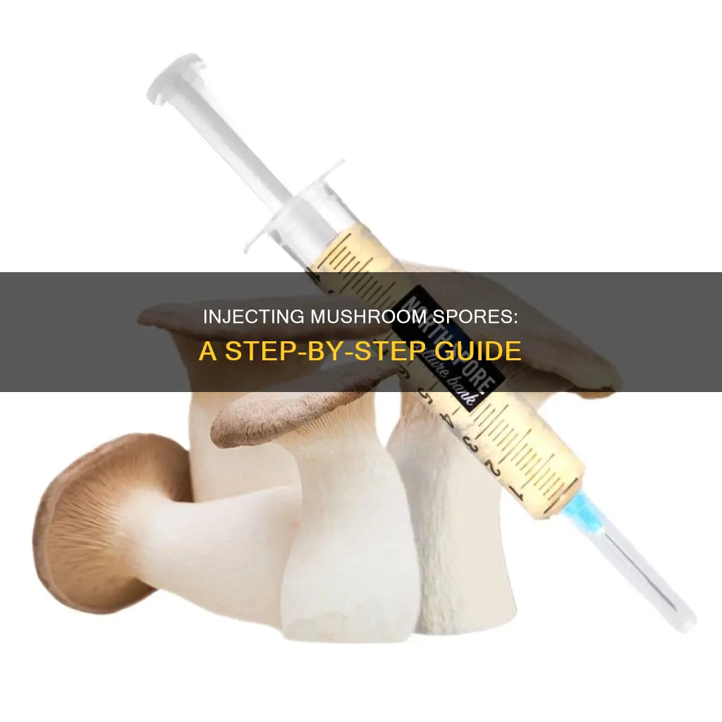 how to inject mushroom spores