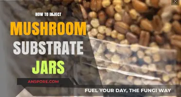 Mastering Mushroom Cultivation: Injecting Substrate Jars for Optimal Growth