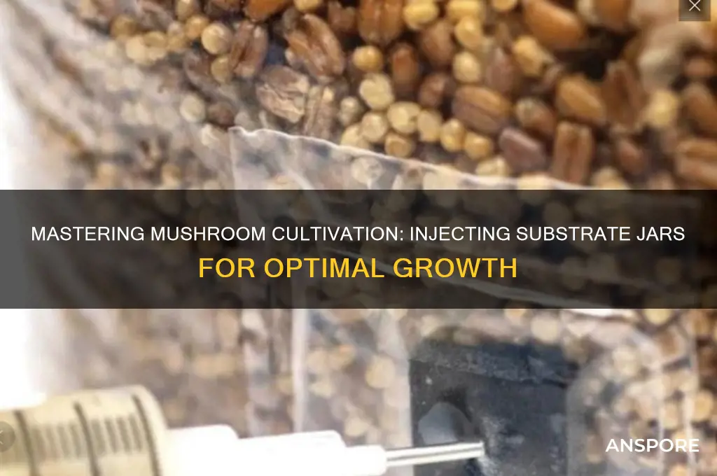 how to inject mushroom substrate jars