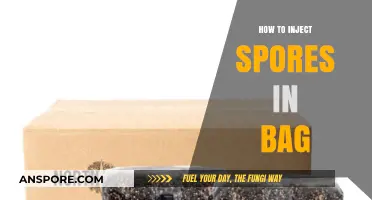 Mastering the Art of Injecting Spores into Grow Bags