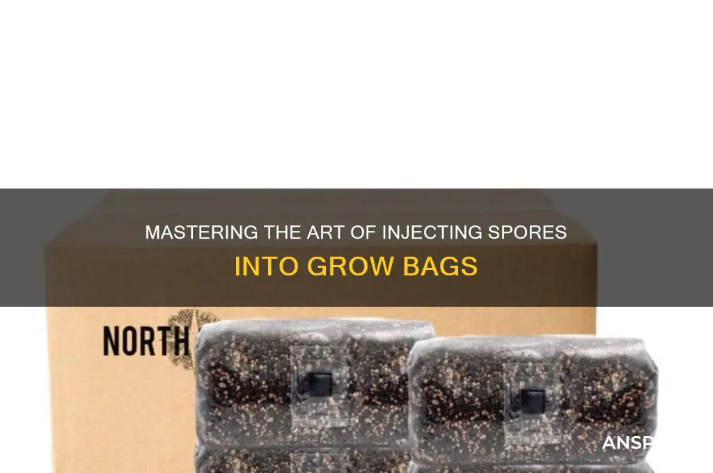 how to inject spores in bag