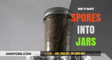 Mastering the Art of Injecting Spores into Jars: A Step-by-Step Guide