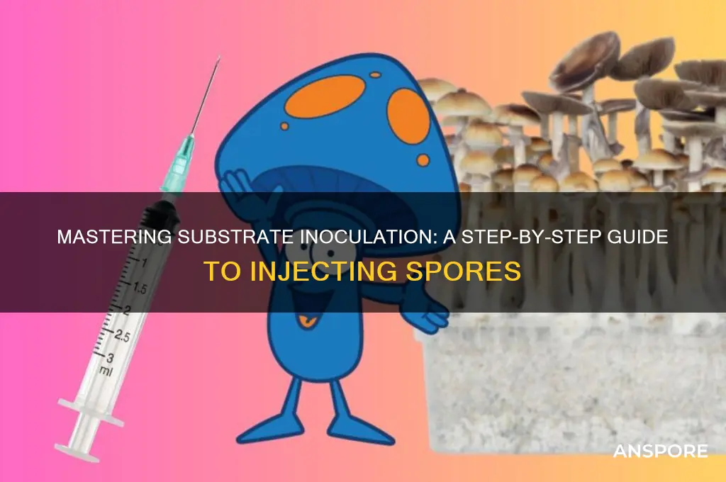 how to inject spores into substrate
