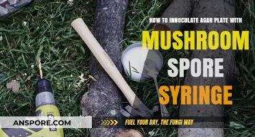 Mastering Mushroom Cultivation: Inoculating Agar Plates with Spore Syringes