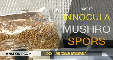 The Magic of Mushroom Spores: Inoculation Techniques