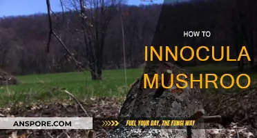 The Magic of Mushroom Inoculation: A Beginner's Guide