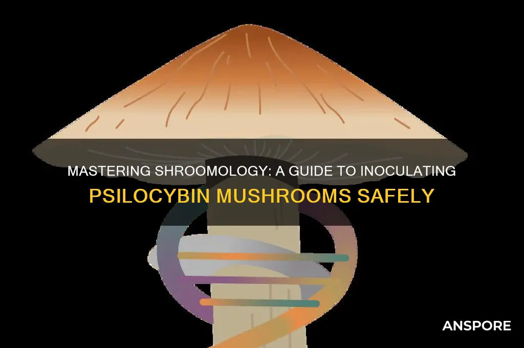 how to innoculate psilicybin mushrooms shroomology