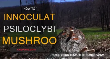 The Magic of Mushroom Inoculation: A Beginner's Guide