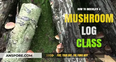 Mastering Mushroom Log Inoculation: A Step-by-Step Class Guide