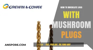 Mastering Mushroom Cultivation: Inoculating Logs with Plugs for Abundant Harvests