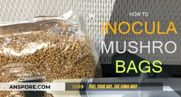 Inoculating Mushroom Bags: Step-by-Step Guide for Beginners
