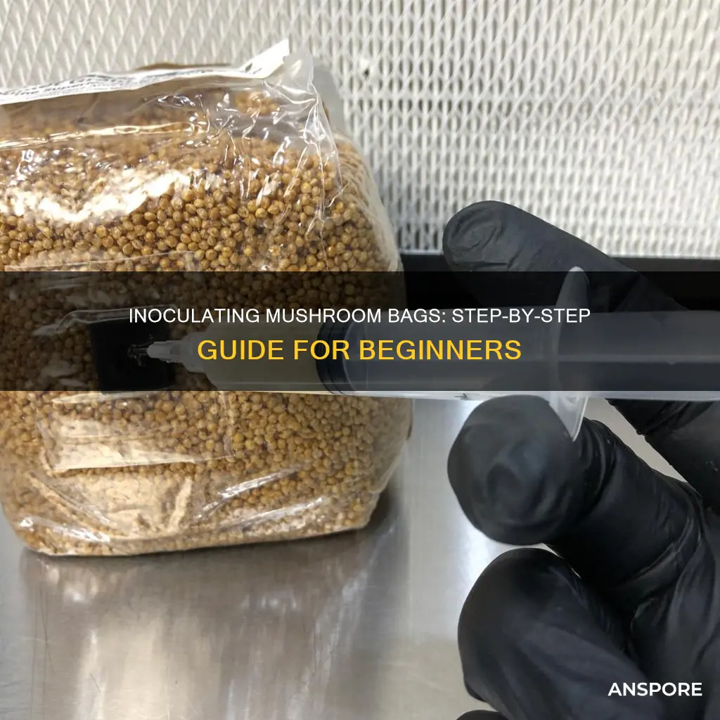 how to inoculate mushroom bags