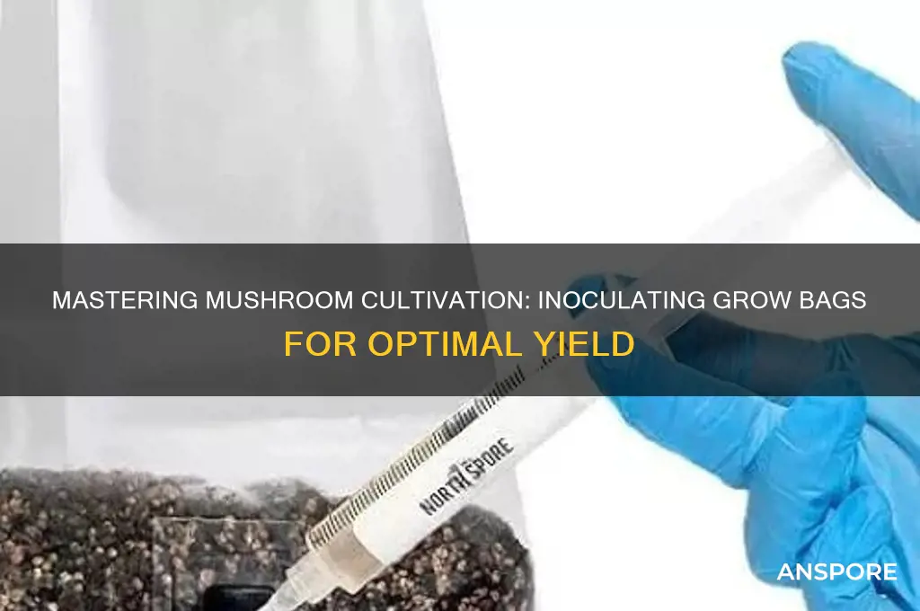 how to inoculate mushroom grow bag