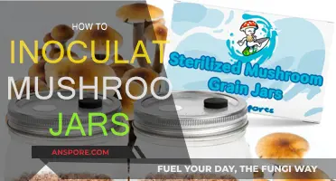 Inoculating Mushroom Jars: A Step-by-Step Guide to Success