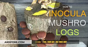 Inoculating Mushroom Logs: A Step-by-Step Guide to Success