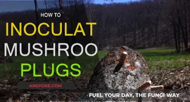 Inoculating Mushroom Plugs: A Step-by-Step Guide to Success