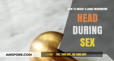 Mastering Pleasure: Tips for Inserting a Large Mushroom Head During Sex