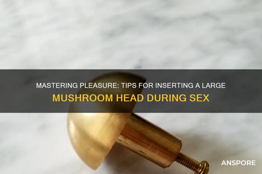 how to insert a large mushroom head during sex