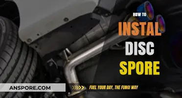 Step-by-Step Guide to Installing Disc Spore on Your Computer