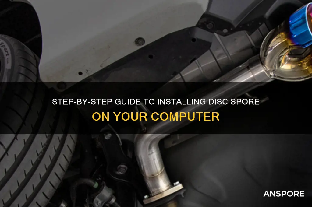 how to instal disc spore