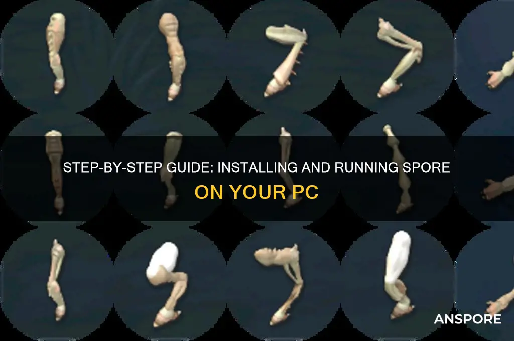 how to install and run spore on my computer