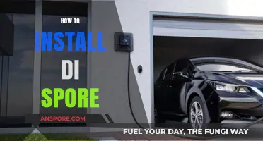 Step-by-Step Guide: Installing Di Spore on Your PC Easily