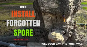 Revive Forgotten Spore: Easy Installation Guide for Gamers