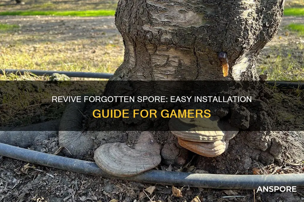 how to install forgotten spore